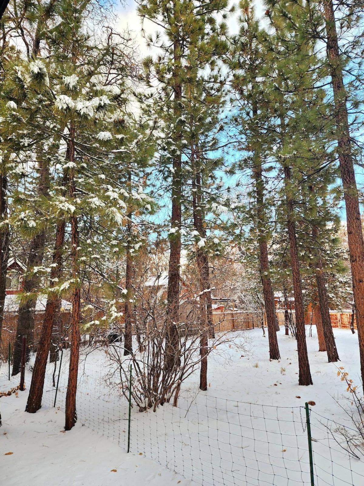 Bear Escapes II Affordable Luxury Cabin Sugarloaf Dış mekan fotoğraf